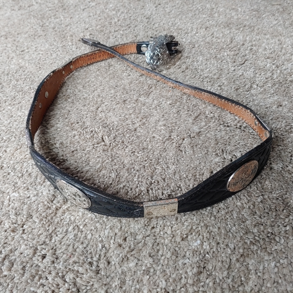 Western conch belt